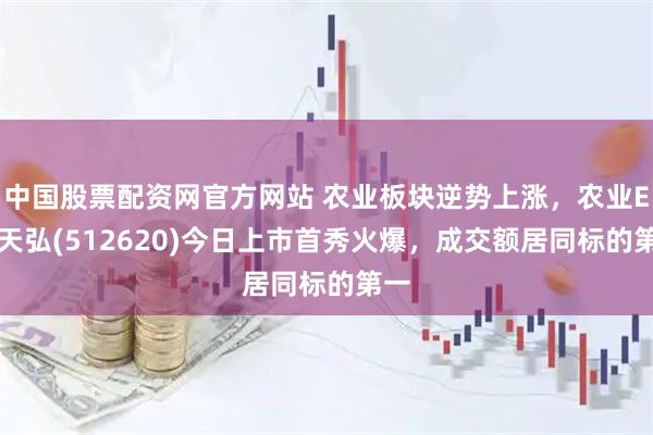 中国股票配资网官方网站 农业板块逆势上涨,农业ETF天弘(512620)今日上市首秀火爆,成交额居同标的第一